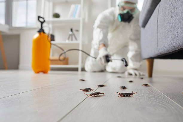 Trusted Rodent Control service in Waynesboro, PA - Nex Pest Control