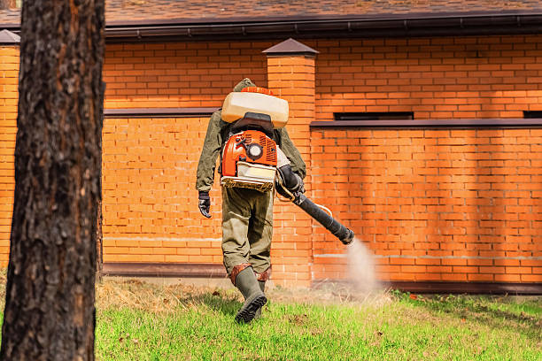Trusted Cockroach Control service in Waynesboro, PA - Nex Pest Control